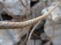 P1010746.JPG