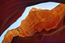 antelope.jpg