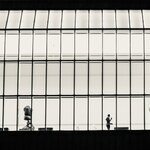 IMG_7597.jpeg