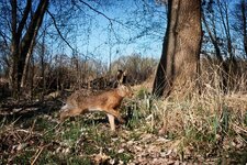 NOR_20250406_IMG_0016.jpg