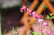 140mm_F5.6.jpg