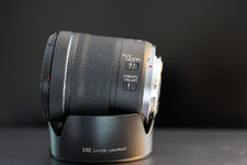 Canon-20250423_6RS1793.jpg