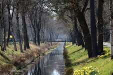 IMG_7001aw.jpg