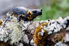 20250418-IMG_4354-bg.jpg