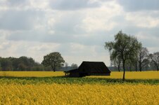 IMG_0900aw.jpg