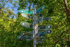 2025-04-27 14-11-42 Schilderwald.jpg