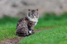 20250417-IMG_3971g.jpg