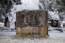 2025-01-19 10-38-47 Friedhof Magdeburg.jpg