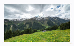 DSC_0555-Bearbeitet.jpg