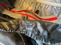IMG_2020.jpeg