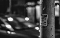 DSC_0621_X.04.jpg