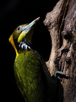 dslr-1-13.jpg