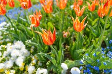 DFX_4244-1.jpg