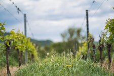 PLS93438.jpg PLS93438.jpg