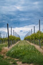 PLS93439.jpg PLS93439.jpg