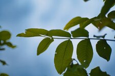 PLS93469.jpg PLS93469.jpg