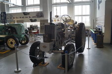DSC03470.JPG