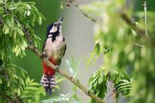 NZ6_4710web.jpg