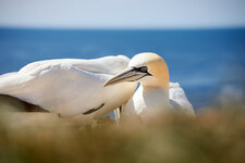 IMG_8721.jpg
