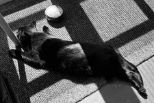 IMG_0986.jpeg