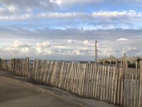 IMG_1029.jpeg