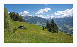 DSC_3124-Bearbeitet.jpg