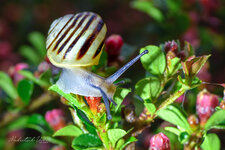 850_8662.jpg