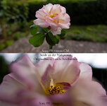 7R500934.jpg