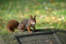 comp_DSC_1632.jpg