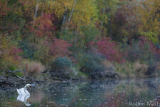 2013_10_15_0013_RM_5DIII.jpg