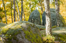 20131013-DSC_6674.JPG