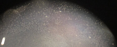 DSCF0657.2.jpg