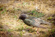 _DSC0186-Verbessert-RR.jpg