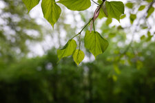 S7R09951.jpg