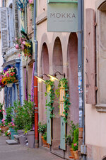 DSCF0011.jpg