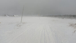 2025-01-12 11-44-41 Skitour von Georgenfeld zum Mückentürmchen.jpg