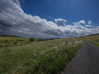 IMG_2450.jpeg