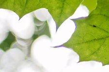 DSM01269-3.jpg
