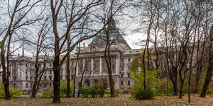 IMG_4371b.jpg