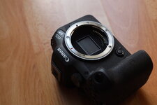 EOSR2308.JPG