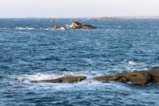 HR5_1208.jpg