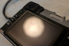 XOHD3614.jpg