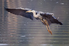 IMG_1389k.jpg