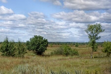 DSC_5167_DxO.jpg