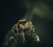 IMGC0056-3.jpg
