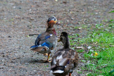 IMG-2025-06-05-1187-DXO.jpg
