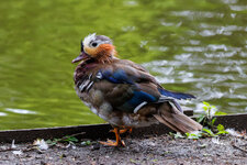 IMG-2025-06-05-1279-DXO.jpg