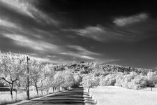 DSC_1878_03.jpg