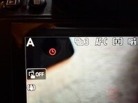 IMG_6297.jpeg IMG_6297.jpeg