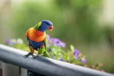 _1200A6704824-Edit.jpg